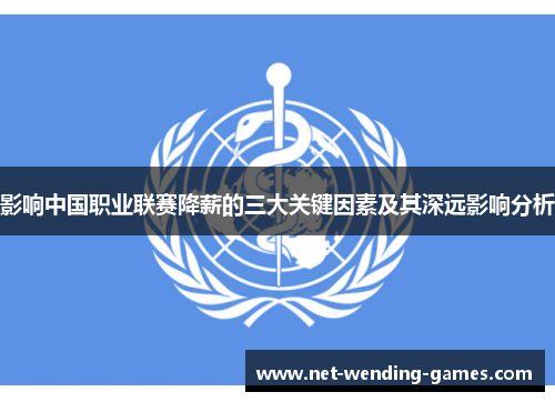 影响中国职业联赛降薪的三大关键因素及其深远影响分析