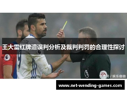 王大雷红牌遭误判分析及裁判判罚的合理性探讨