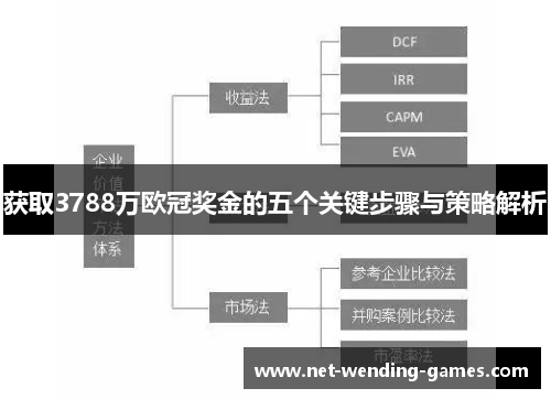 获取3788万欧冠奖金的五个关键步骤与策略解析