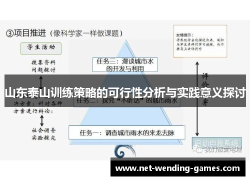 山东泰山训练策略的可行性分析与实践意义探讨
