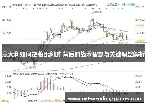意大利如何逆袭比利时 背后的战术智慧与关键调整解析