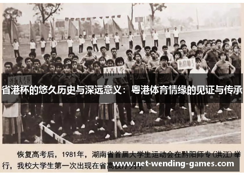 省港杯的悠久历史与深远意义：粤港体育情缘的见证与传承