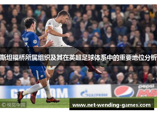 斯坦福桥所属组织及其在英超足球体系中的重要地位分析