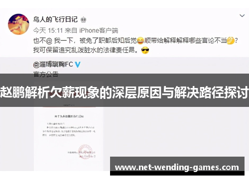 赵鹏解析欠薪现象的深层原因与解决路径探讨