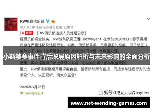 小斯禁赛事件背后深层原因解析与未来影响的全面分析