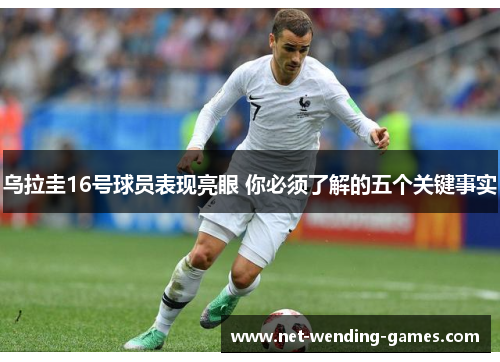 乌拉圭16号球员表现亮眼 你必须了解的五个关键事实