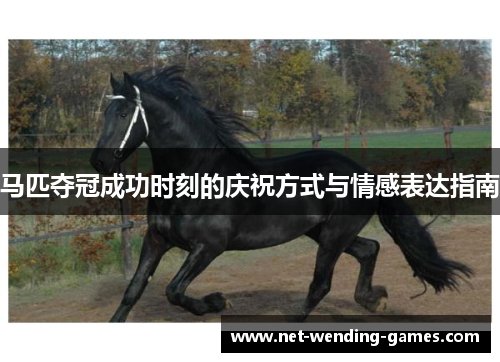 马匹夺冠成功时刻的庆祝方式与情感表达指南