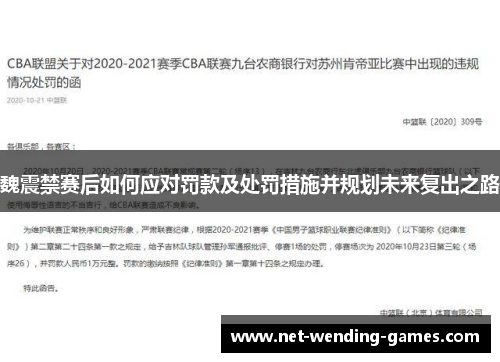 魏震禁赛后如何应对罚款及处罚措施并规划未来复出之路