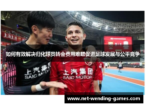 如何有效解决归化球员转会费用难题促进足球发展与公平竞争