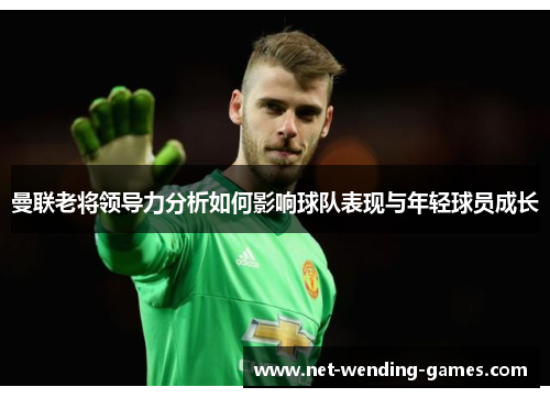 曼联老将领导力分析如何影响球队表现与年轻球员成长 曼联老将领导力分析如何影响球队表现与年轻球员成长