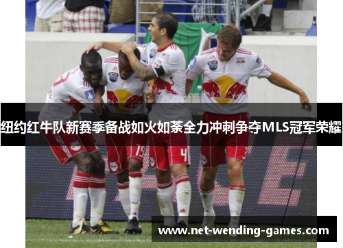 纽约红牛队新赛季备战如火如荼全力冲刺争夺MLS冠军荣耀 纽约红牛队新赛季备战如火如荼全力冲刺争夺MLS冠军荣耀
