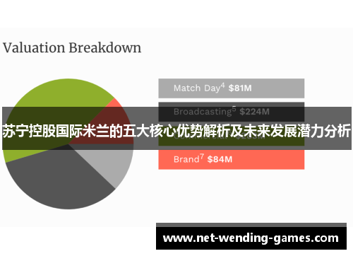 苏宁控股国际米兰的五大核心优势解析及未来发展潜力分析 苏宁控股国际米兰的五大核心优势解析及未来发展潜力分析