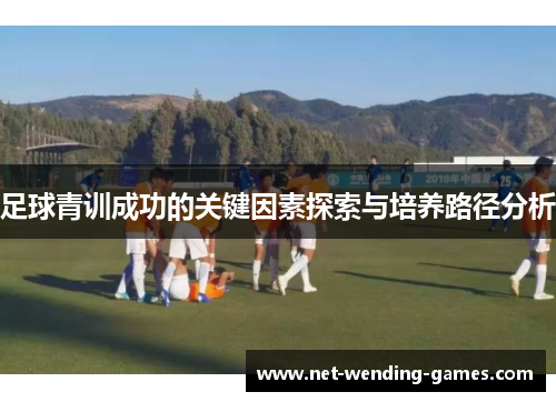 足球青训成功的关键因素探索与培养路径分析